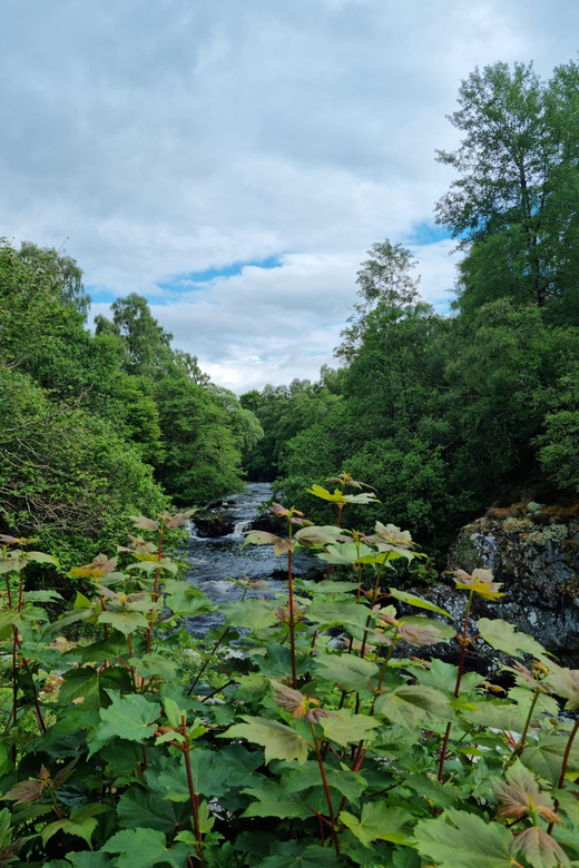 Shore excursion from Invergordon - Castles, Scenery & Whisky - Should you book Castles, Scenery and Whisky?