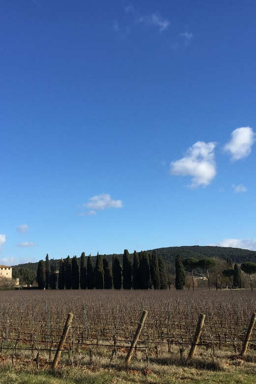 Siena: Tour and Wine Tasting in a Tuscan Private Castle - Arriving at Poggiarello through the Tuscan countryside