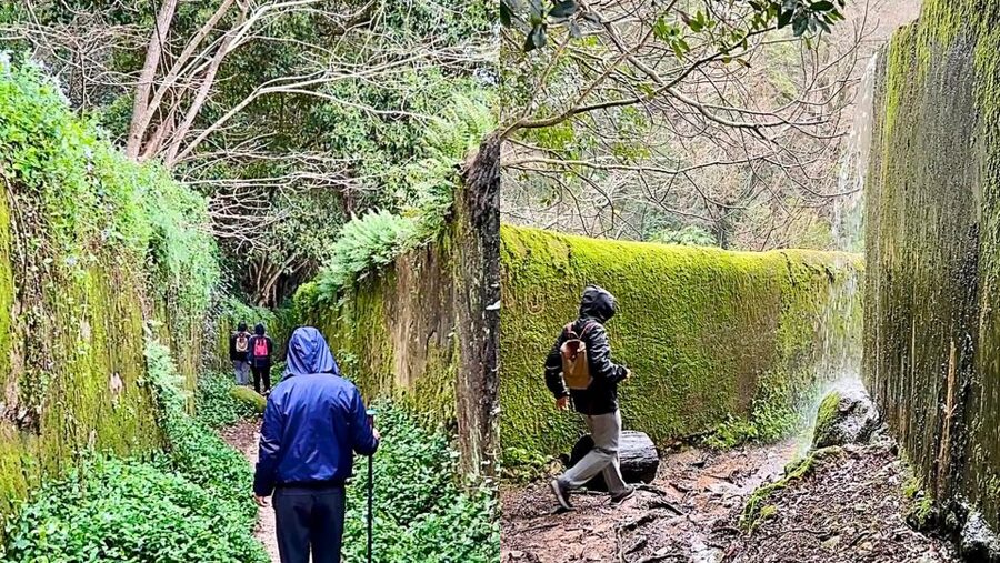 Sintra: Adventure hike around Sintra's most popular castles - Pena Palace from the park paths