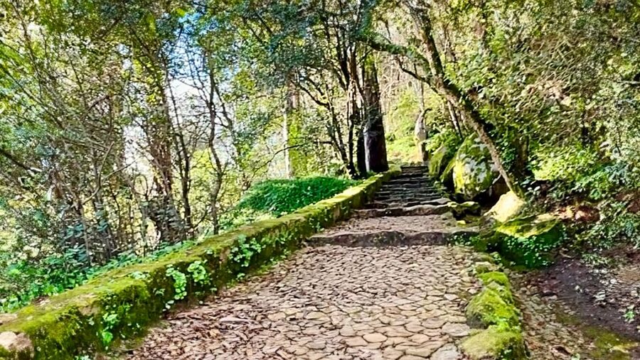 Sintra: Adventure hike around Sintra's most popular castles - Starting at São Pedro de Sintra