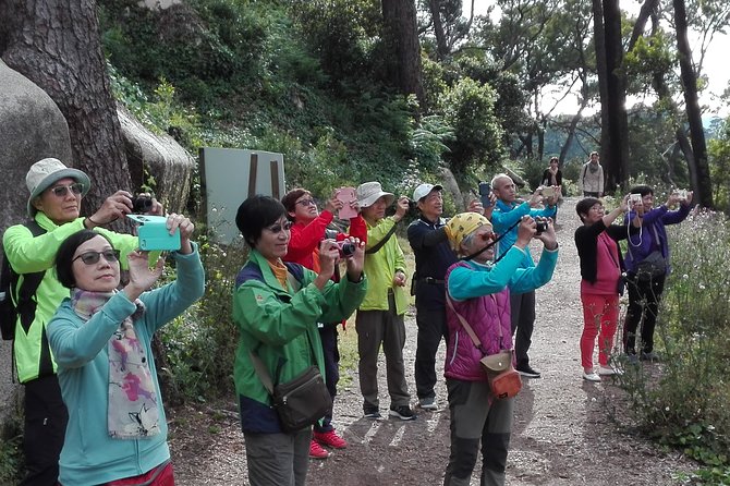 Sintra Full-Day: Pena, Moorish Castle & Regaleira with Tickets - Walking the Moorish Castle ramparts