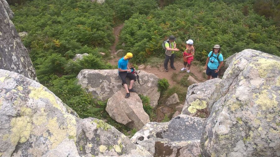 Sintra: Walking Tour with Palace, Castle, and Old Town Visit - What João Varanda adds to the day