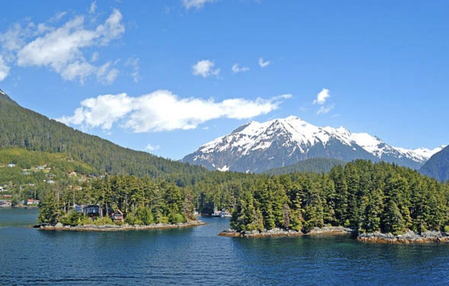 Sitka: Totem Poles, Raptor Centre, & Fortress of Bears Tour - Why this Sitka tour covers more than the usual photo stops