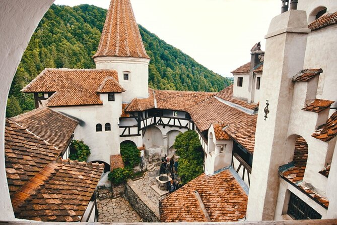 Small Group (max 7) Dracula's Castle, Peleș Castle, Brașov city - Peleș Castle and the 9:15 to 11:00 booking window