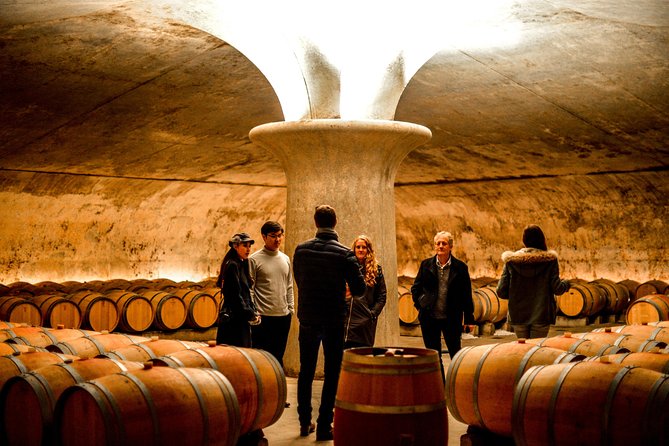 St-Emilion & Médoc Wine Day Tour: Chateaus, Tastings and Lunch - Two sides of Bordeaux wine country in one day
