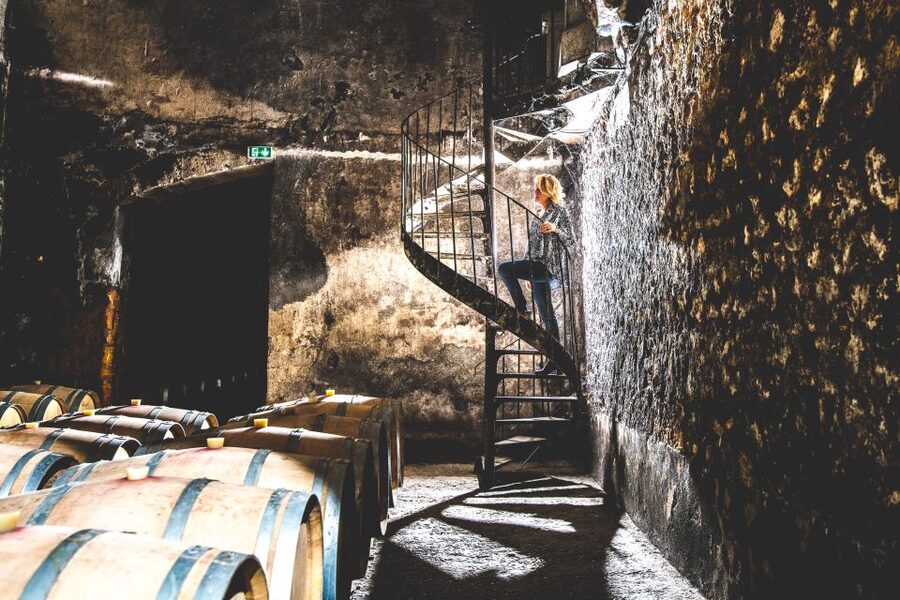 Taillan-Médoc: Château Visit and Wine Tasting in Bordeaux - Key points to know before you go