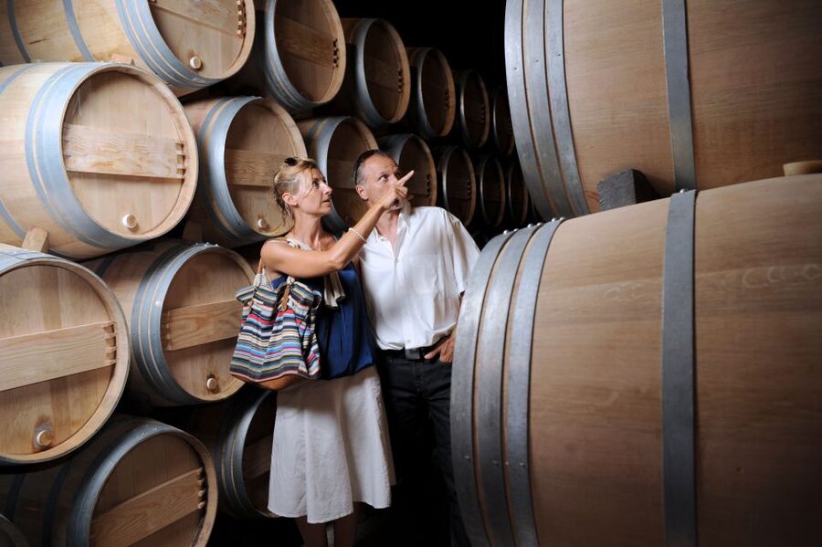 Taillan-Médoc: Château Visit and Wine Tasting in Bordeaux - Guides who make the visit easier to follow