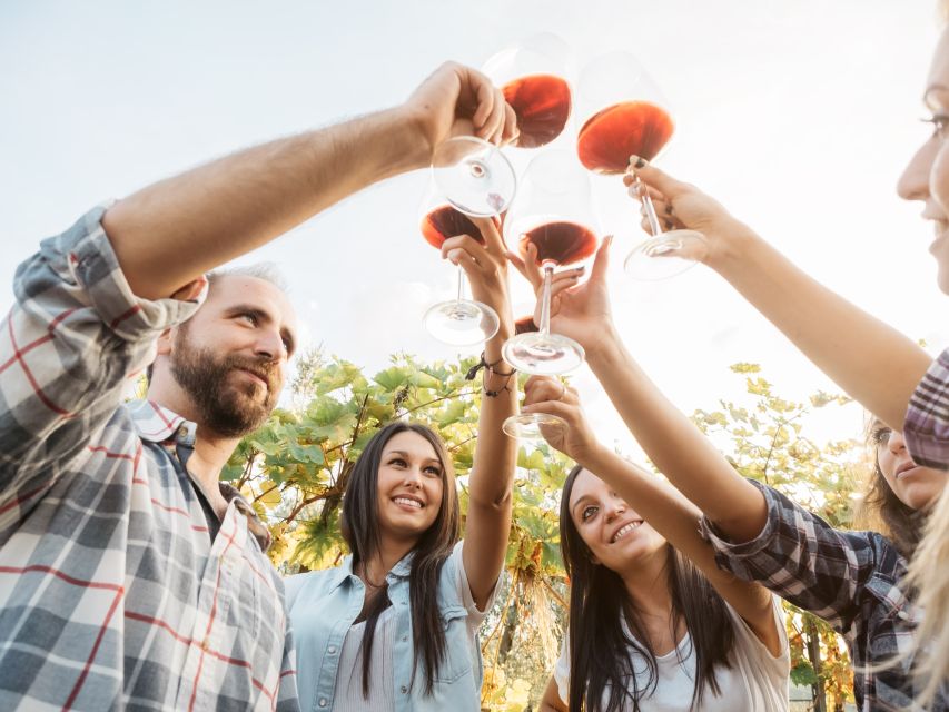 Taillan-Médoc: Château Visit and Wine Tasting in Bordeaux - Who will get the most from this château visit