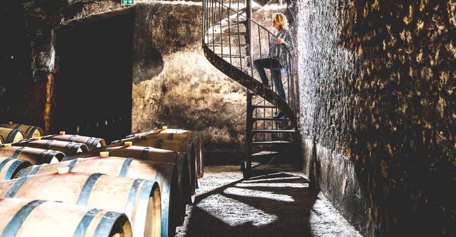 Taillan-Médoc: Château Visit and Wine Tasting in Bordeaux - The vat room and the mechanics of winemaking