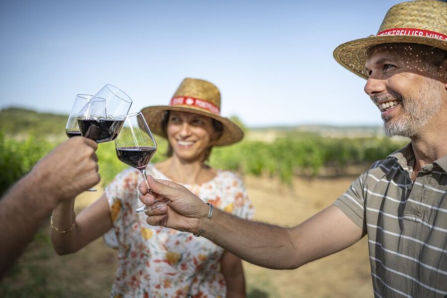 The Châteaux of Grès de Montpellier & Wine Tasting - Who should book this afternoon?