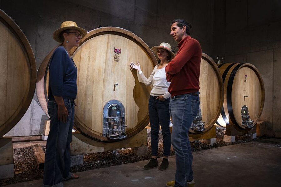 The Châteaux of Grès de Montpellier & Wine Tasting - How much wine will you taste?