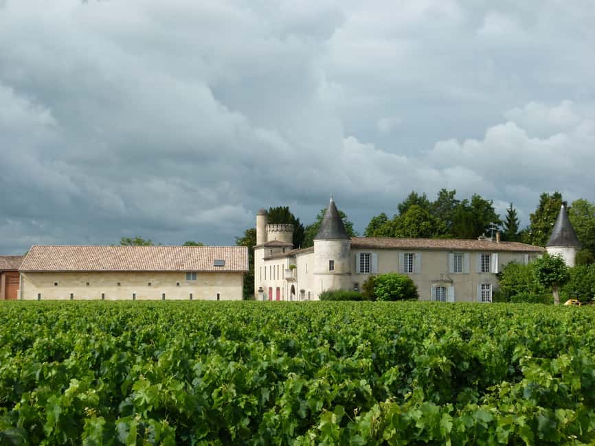 The vertical at Château Cruzeau - From the vat room to the barrel cellar
