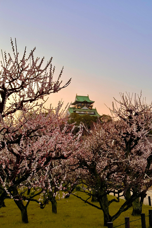 (Ticket Included) Explore Osaka Castle & Museum of History - Finding the meeting point at Naniwa Palace