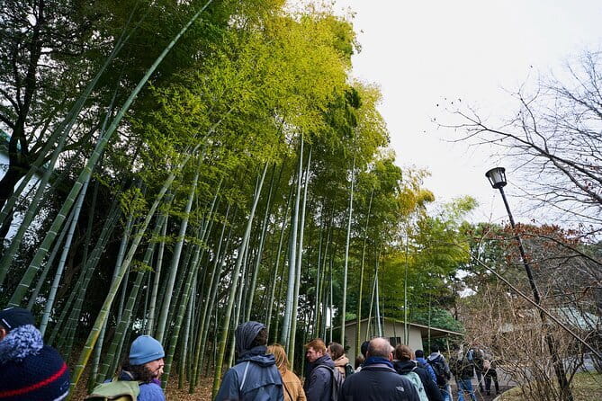 Tokyo Castle & Imperial PalaceーShogun Walking Tour - Why Edo Castle is the real subject