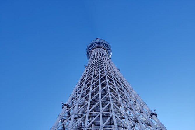 Tokyo Castle & Imperial PalaceーShogun Walking Tour - The Edo Castle tower ruins