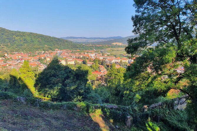 Tour of Bran CASTLE + Peles Castle + Brasov City from Bucharest - Private TOUR - Price, inclusions, and the real value