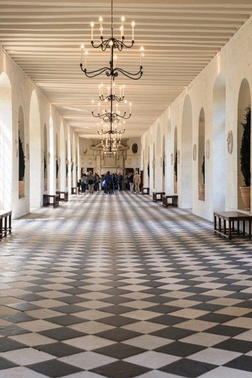 Tours/Amboise: Private Chambord and Chenonceau Chateau Tour - Who will get the most from this day