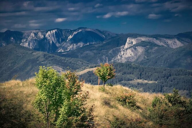 Transfer Bucharest -Brasov with Targoviste and Bran Castle visits - Small details that make the day easier