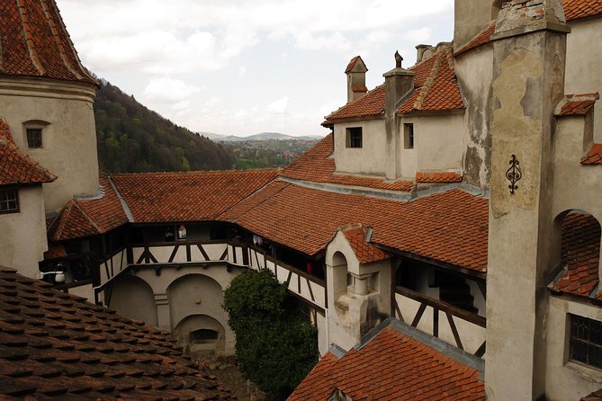 Transylvania with Dracula Castle, Bear Sanctuary and Brasov - Small details that improve the day