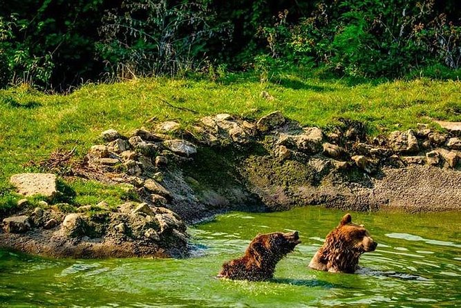 Transylvania with Dracula Castle, Bear Sanctuary and Brasov - FAQ