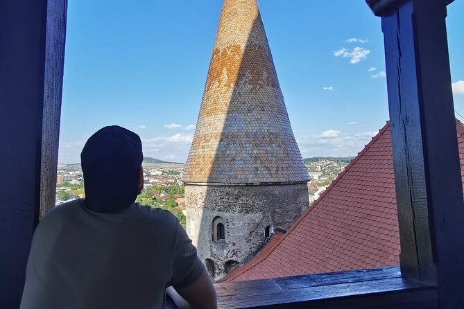 Turda Salt Mine, Corvin Castle and Alba Fortress from Cluj - Walking through Alba Carolina Fortress