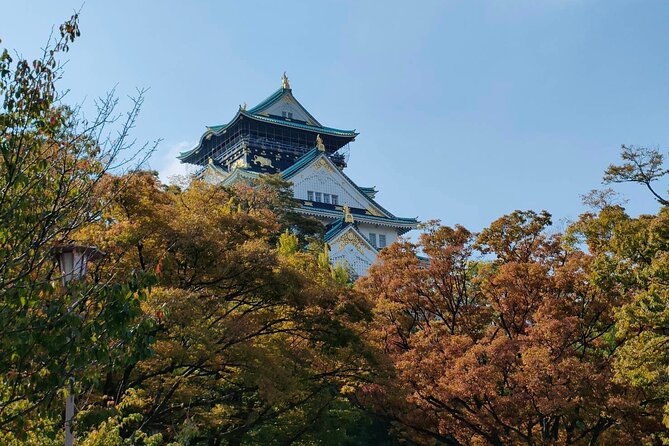 Ultimate Osaka Walking Tour: Castle, Dotonbori & Hidden Gems - Why this route gives you a useful first look at Osaka