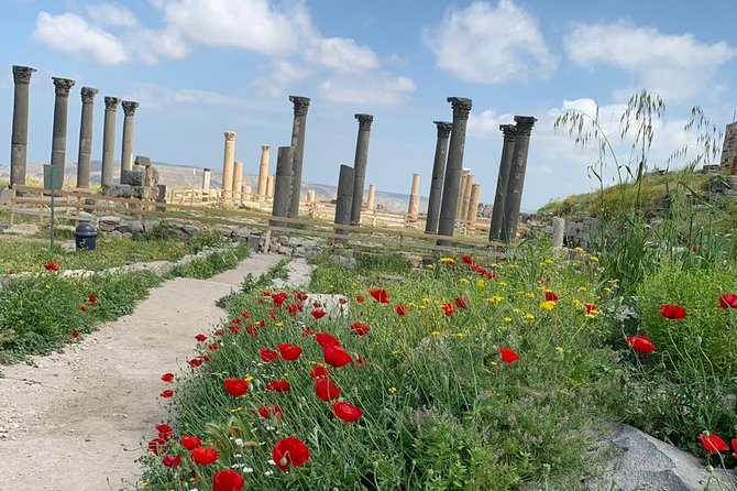 Umm Qais, Jerash & Ajloun Castle Day Tour from Amman - Leaving Amman at 8:00 am