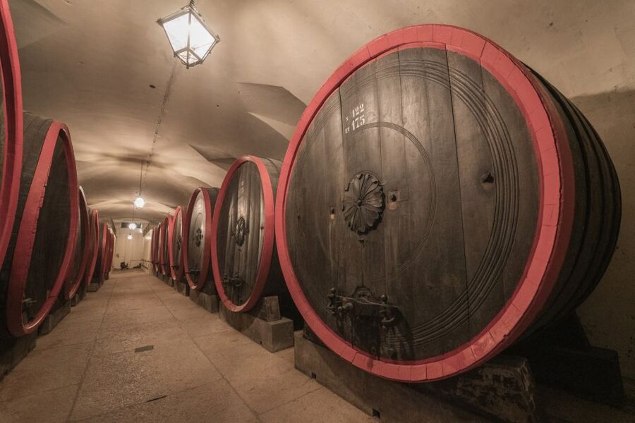Valpolicella: Amarone Chateau Guided Tour and Wine Tasting - The monumental cellar and years of aging