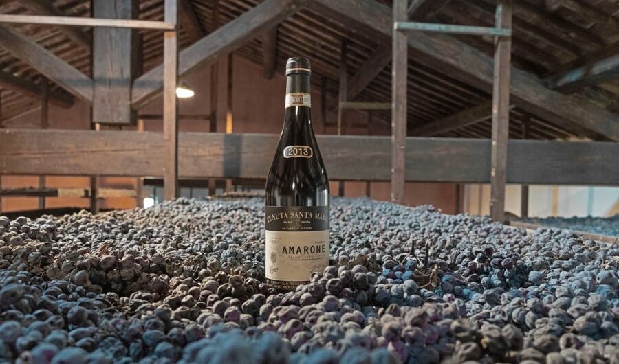 Valpolicella: Amarone Chateau Guided Tour and Wine Tasting - A seated tasting of at least four wines