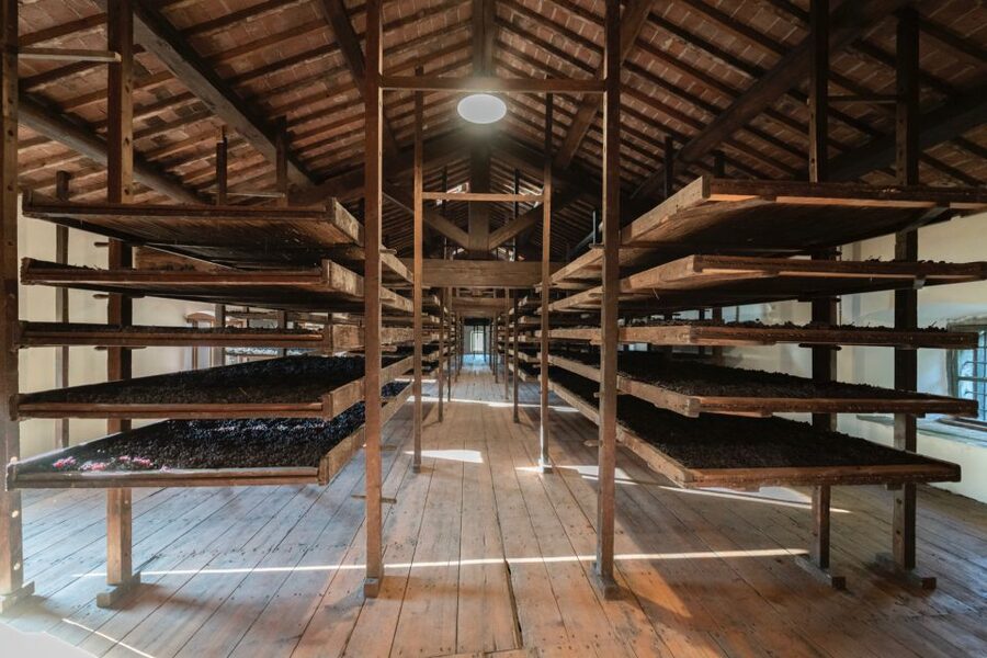 Valpolicella: Amarone Chateau Guided Tour and Wine Tasting - The 18th-century villa and frescoed room