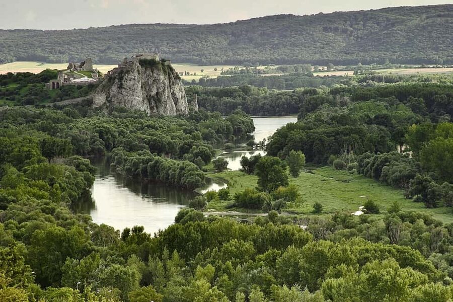 Vienna: Guided Bratislava & Devín Castle Tour via Hainburg - Van comfort, group size, and the pace