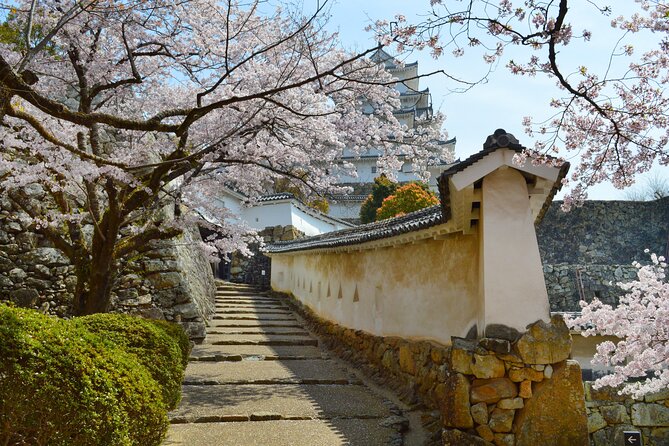 World Heritage Himeji Castle & Sake Breweries Private Tour - Heat, walking, and practical comfort