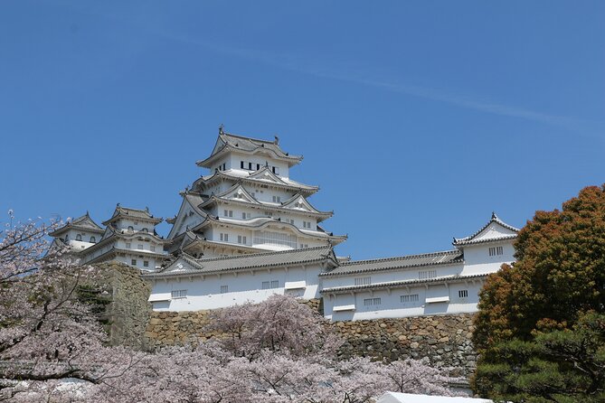 World Heritage Himeji Castle & Sake Breweries Private Tour - What the strong and weak feedback tells you